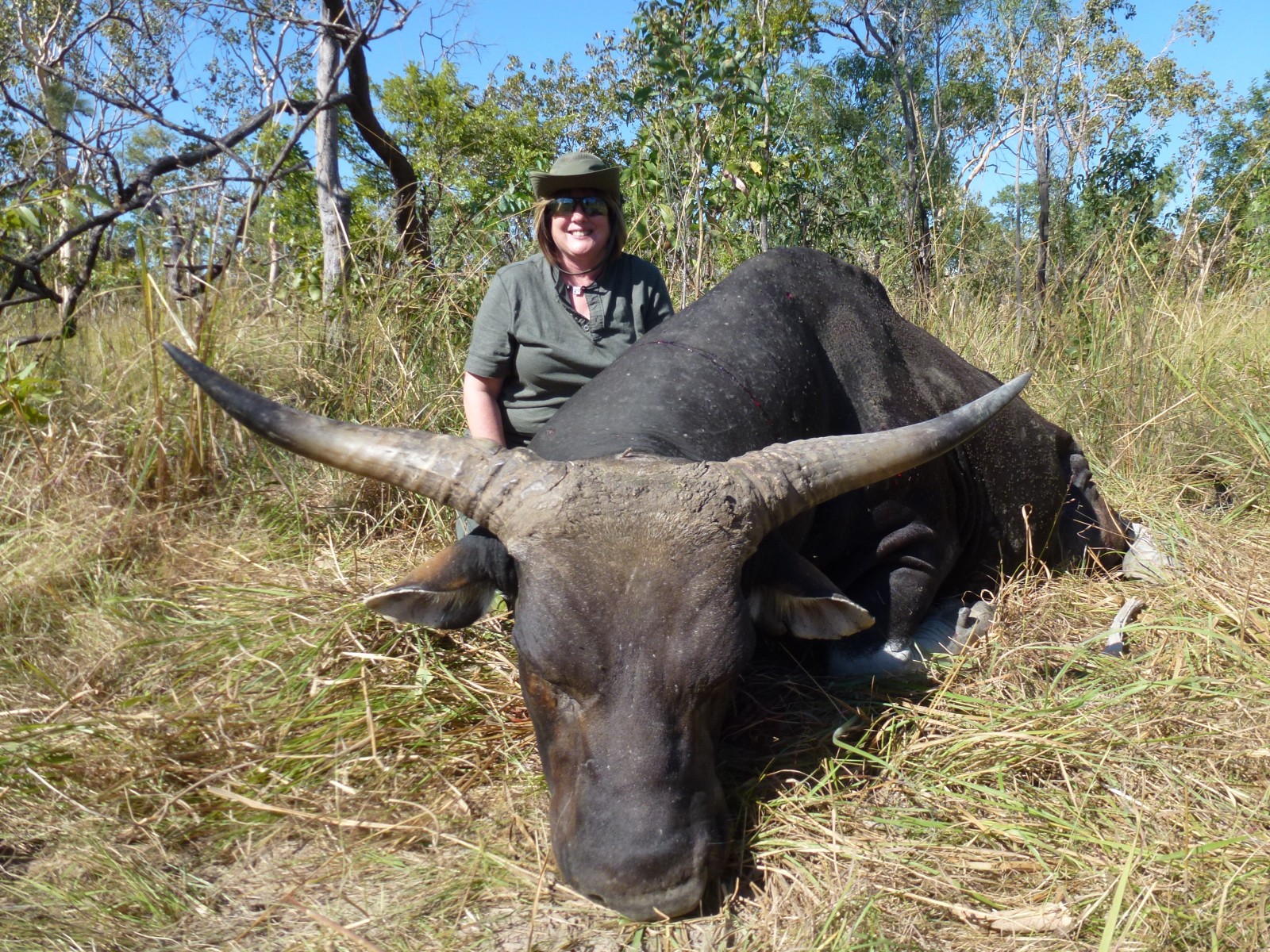 Banteng