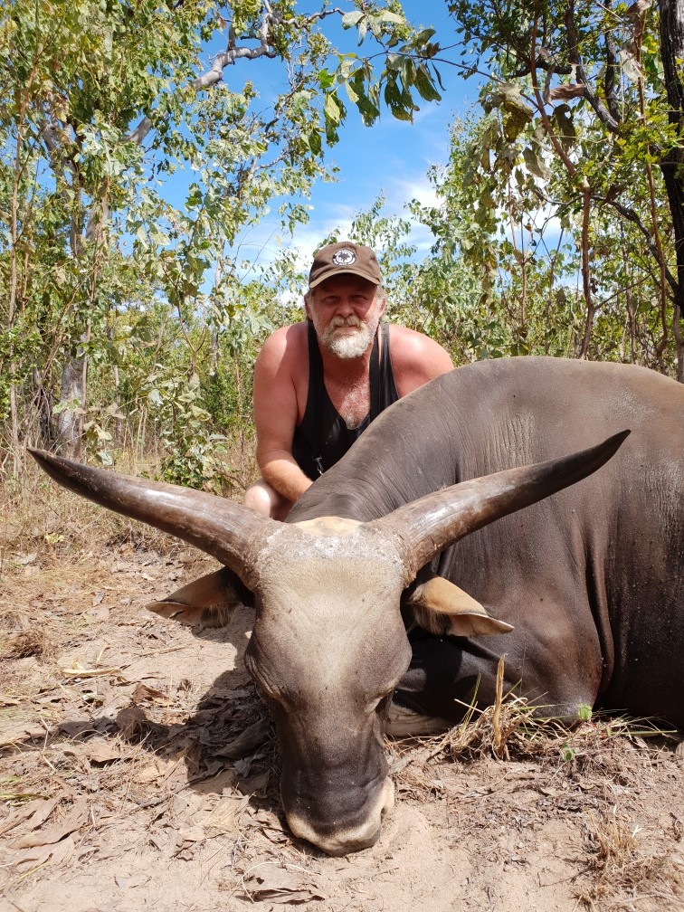 Banteng
