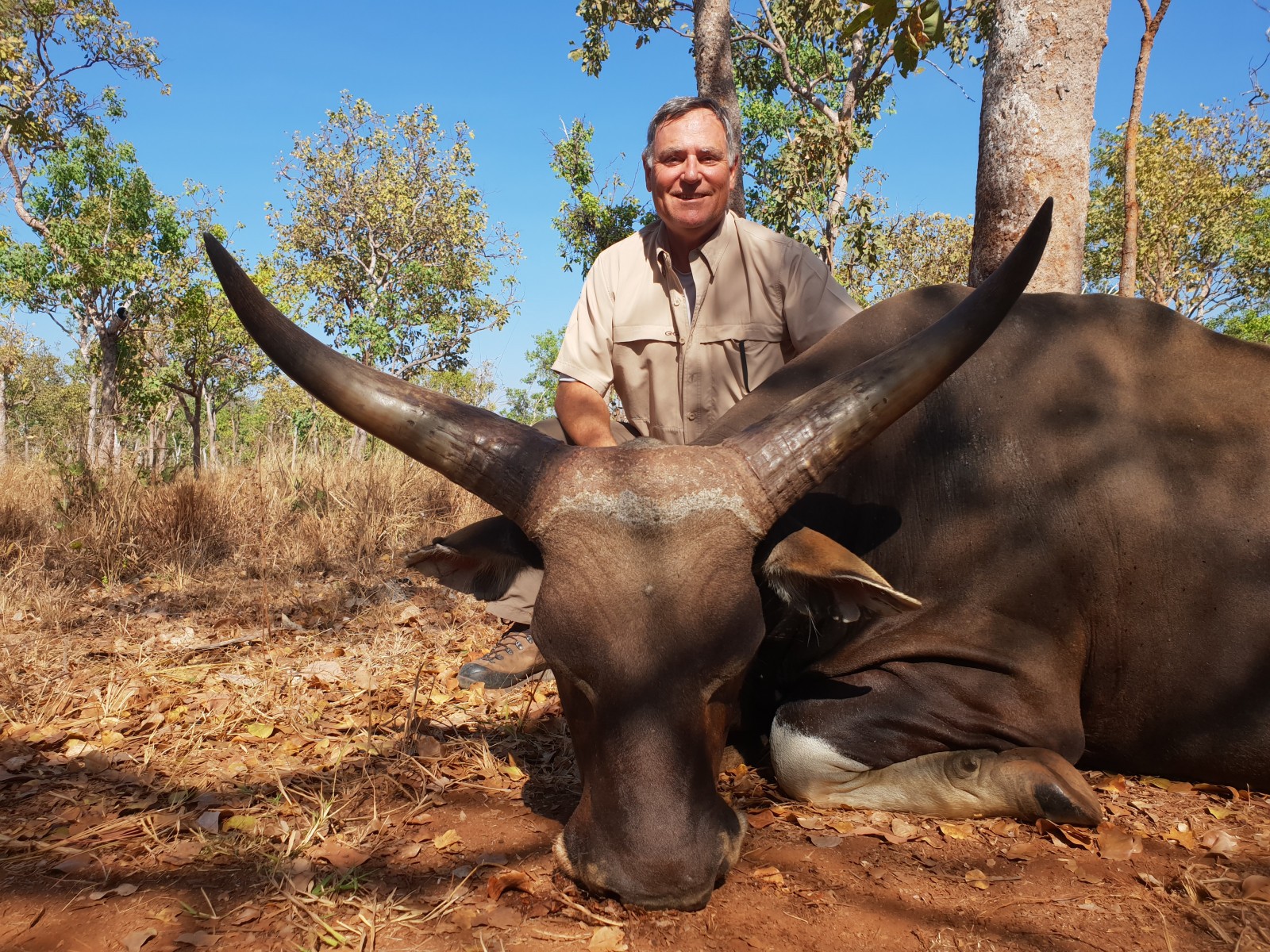 Banteng