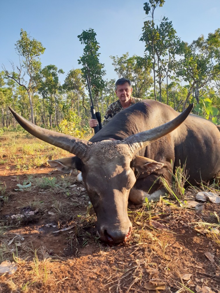 Banteng