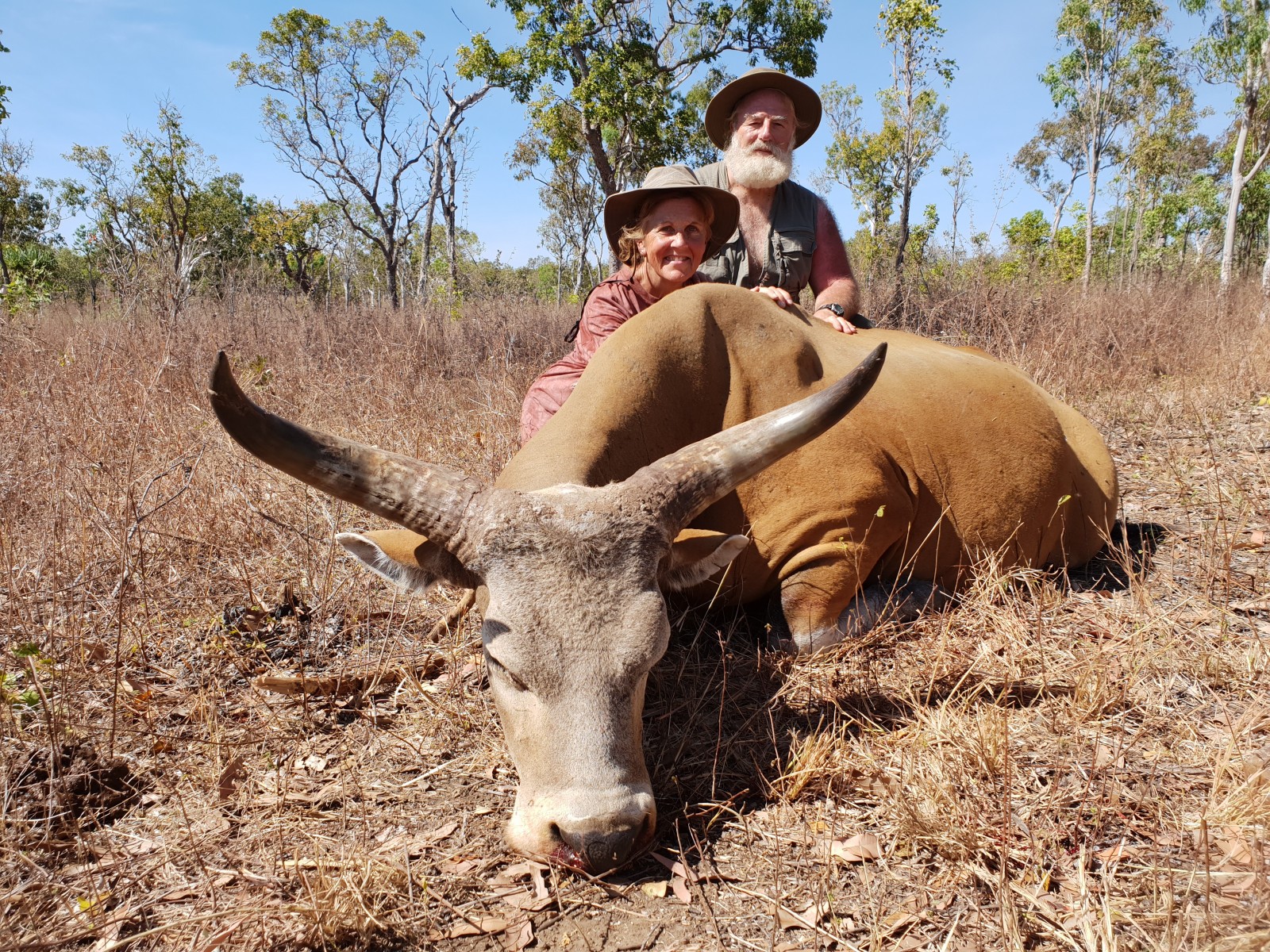 Banteng