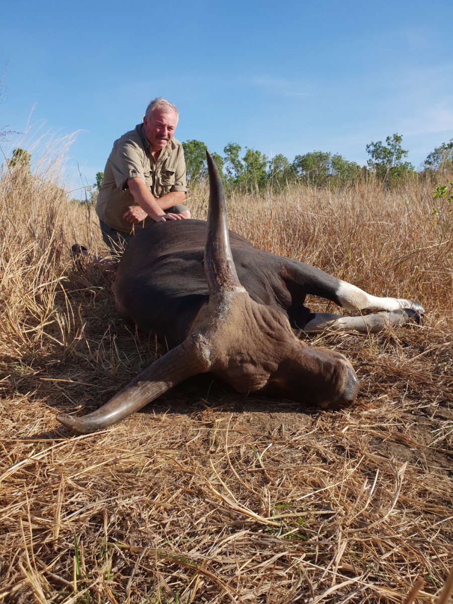 Banteng