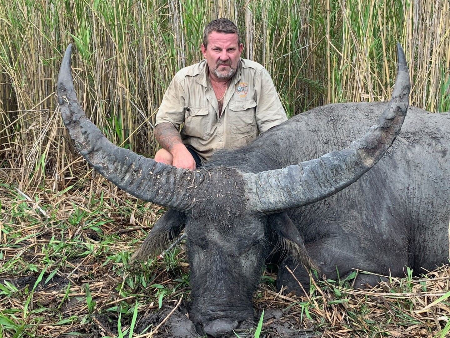 Buffalo