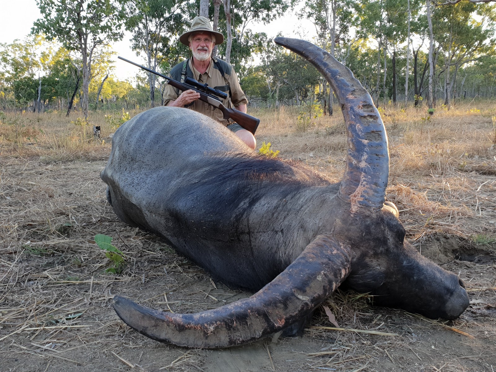 Buffalo