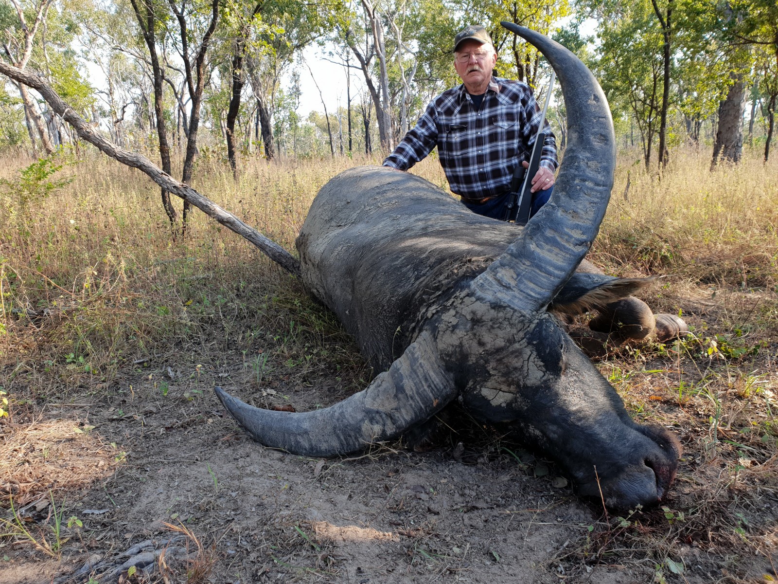 Buffalo