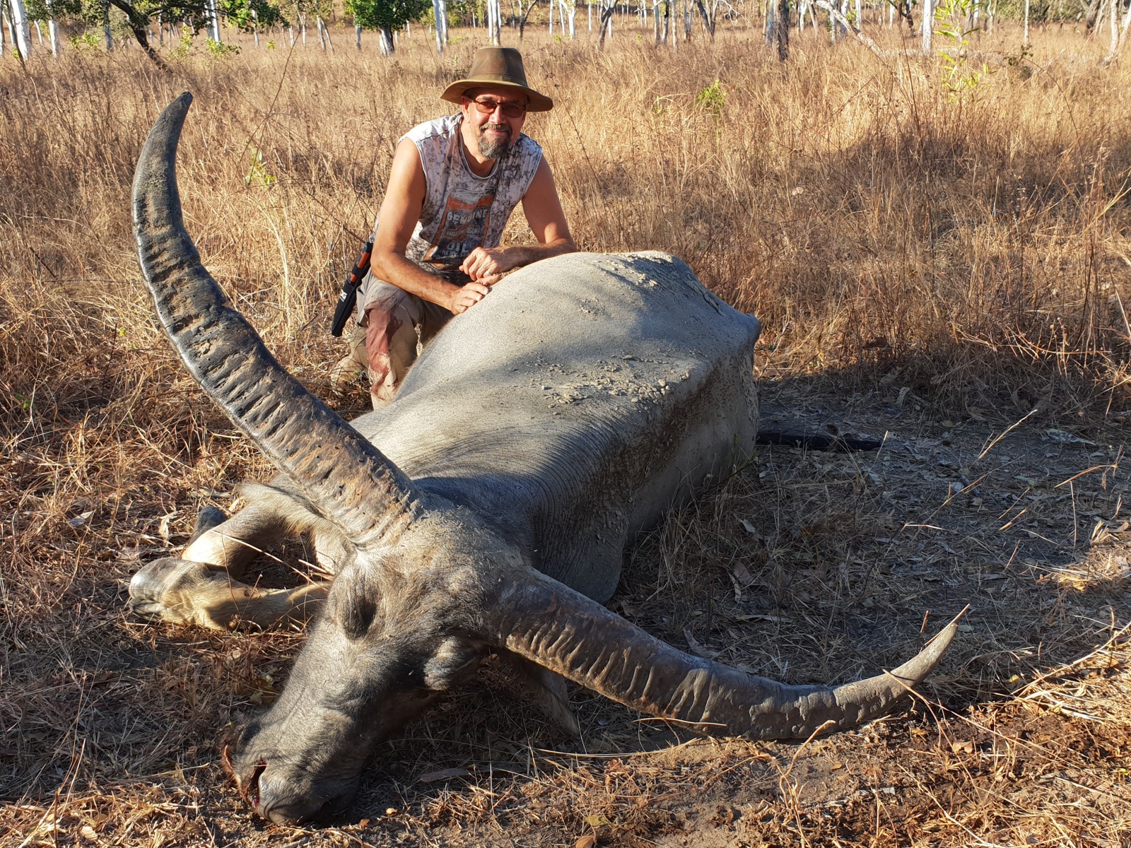 Buffalo