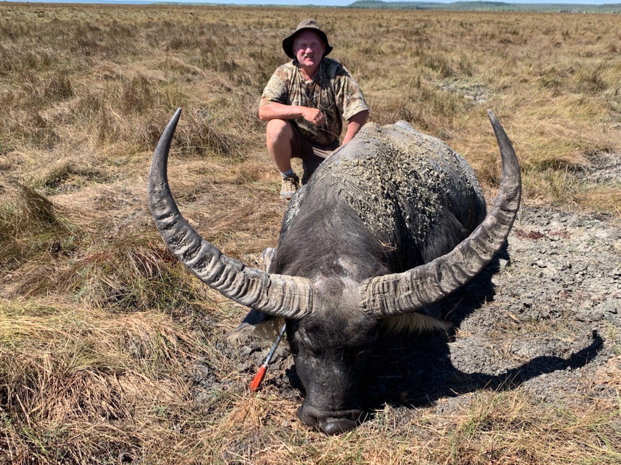 Buffalo