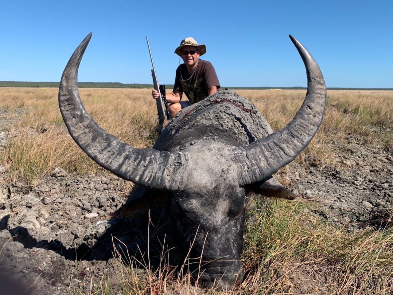 Buffalo