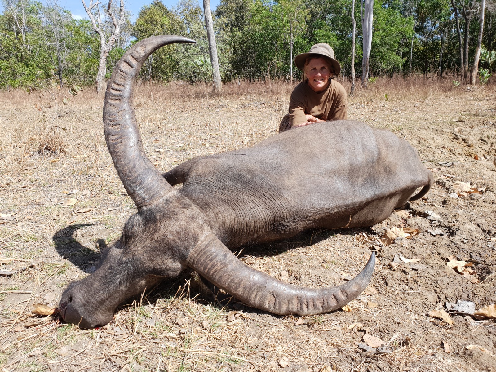 Buffalo