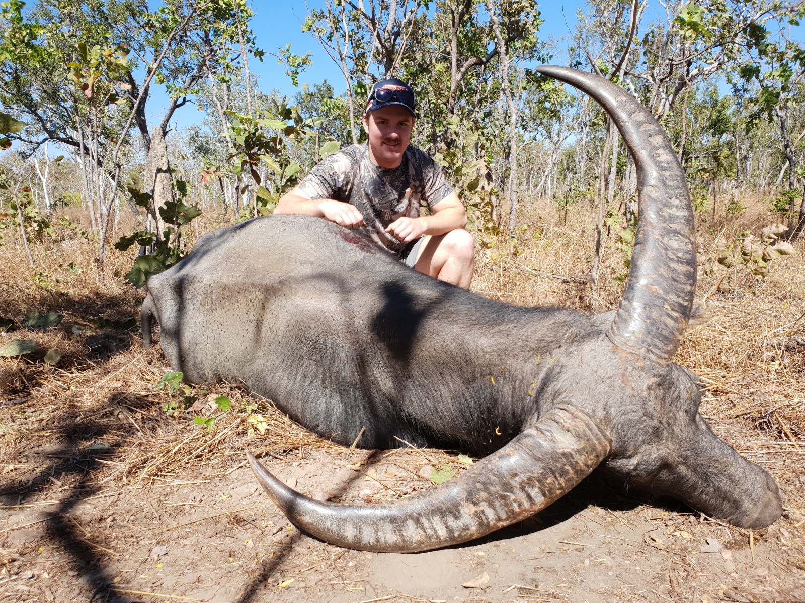 Buffalo