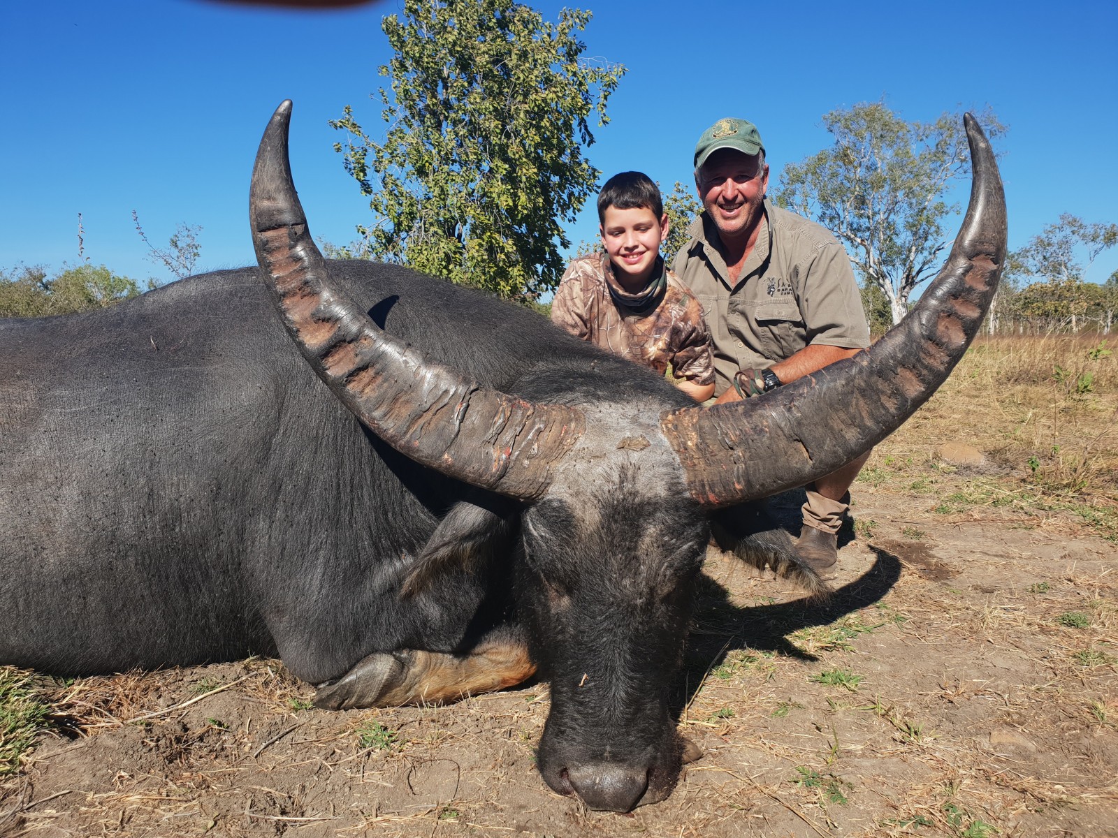 Buffalo