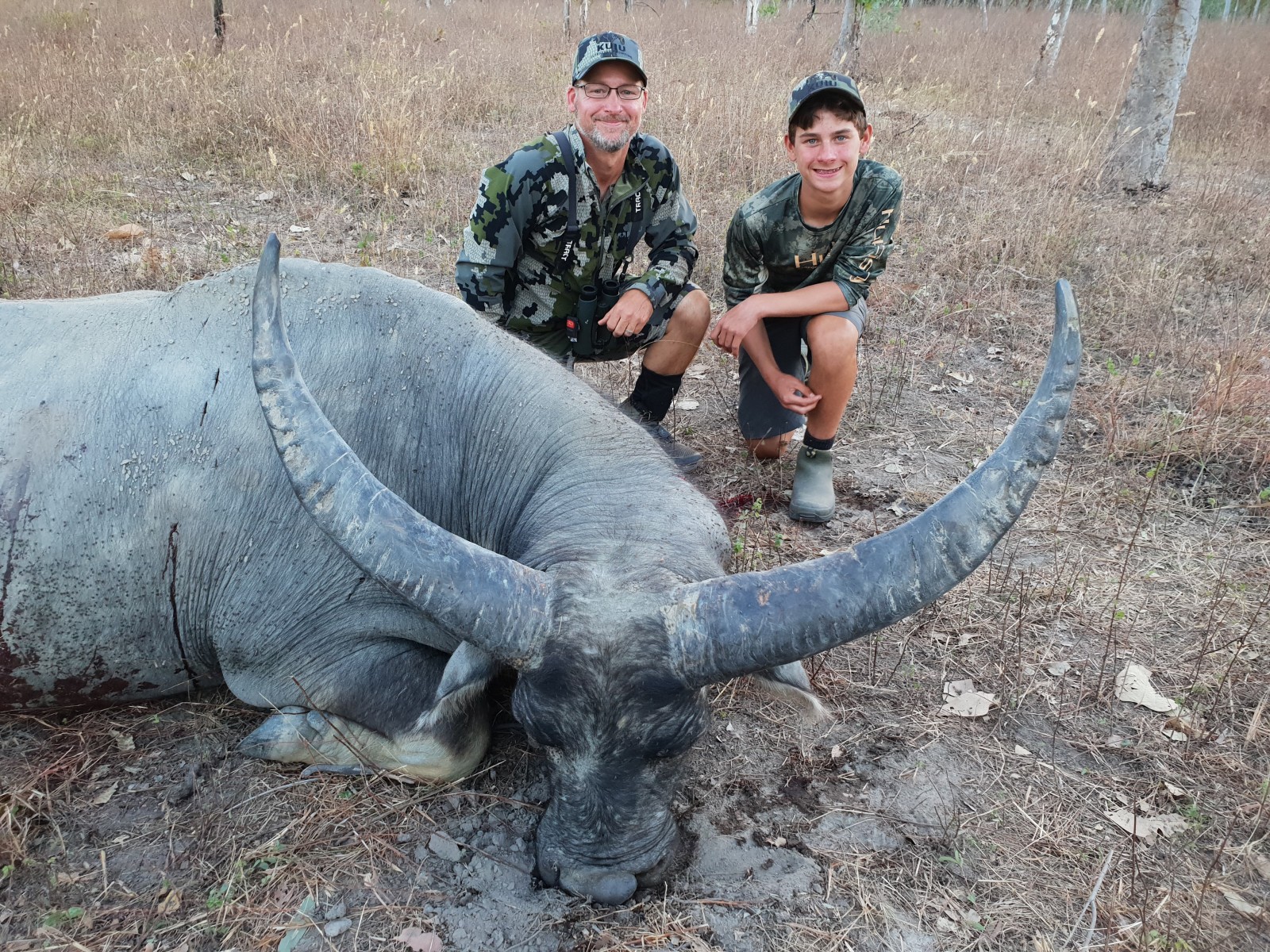Buffalo