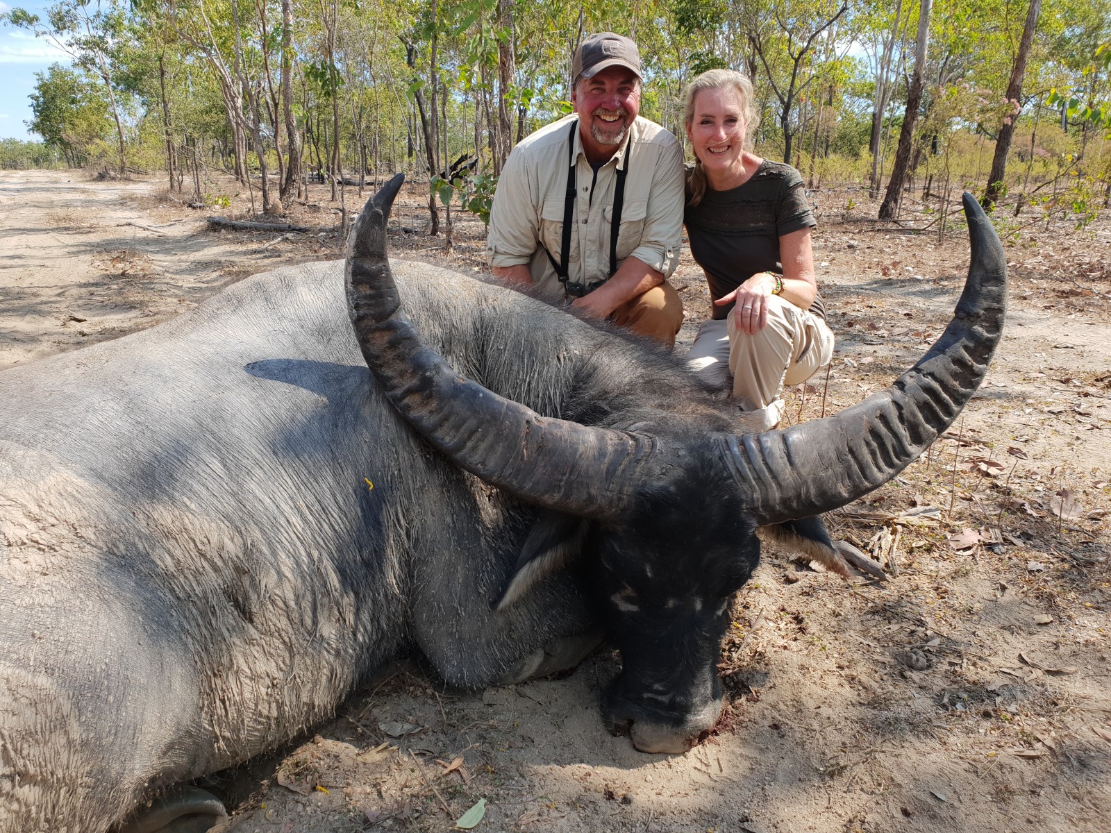 Buffalo