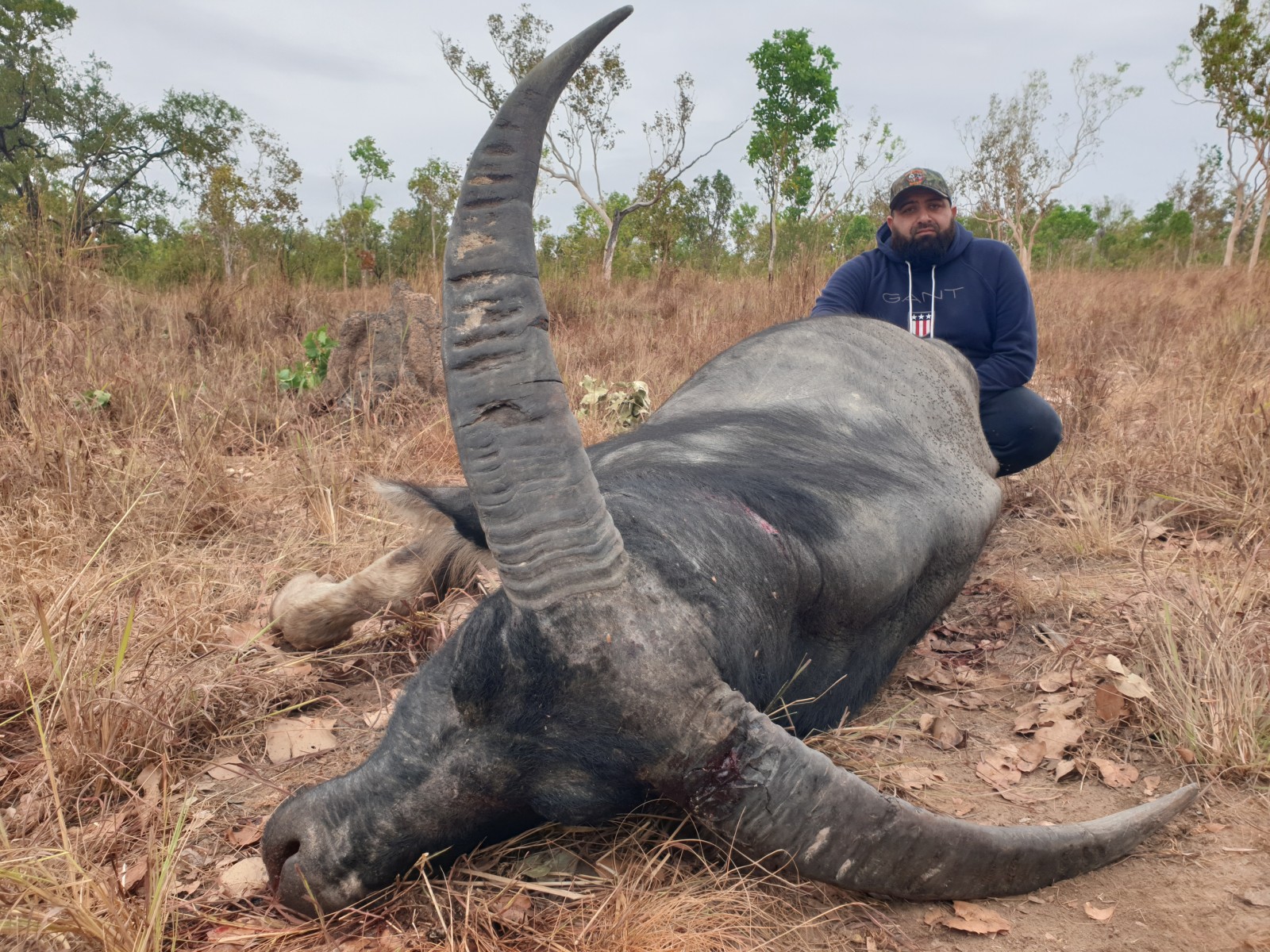 Buffalo