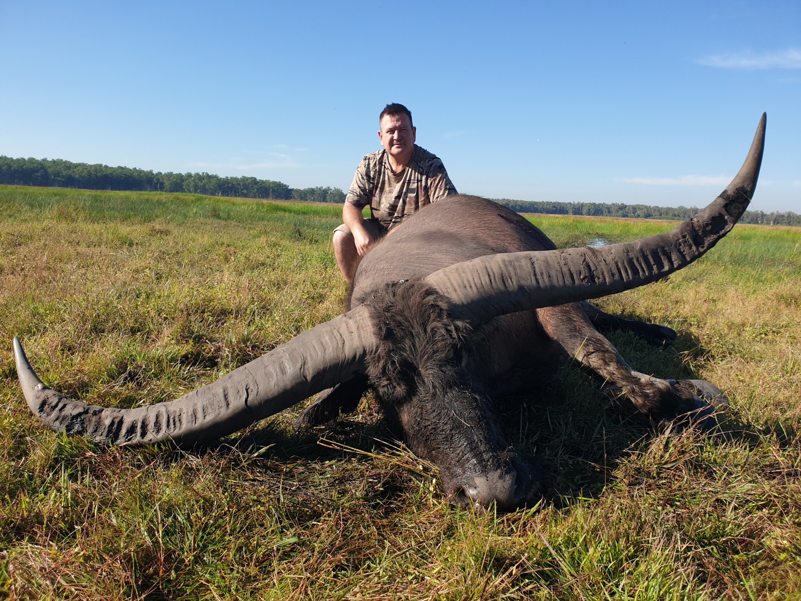 Buffalo