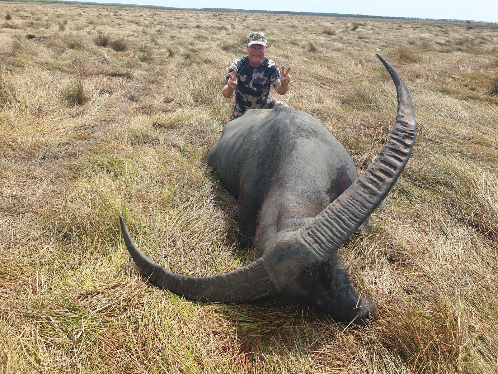 Buffalo