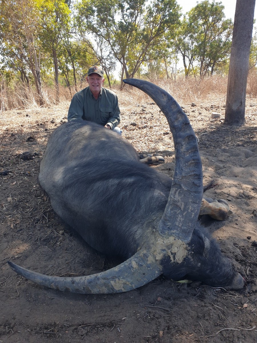 Buffalo