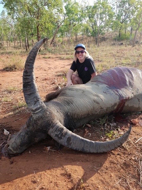 Buffalo
