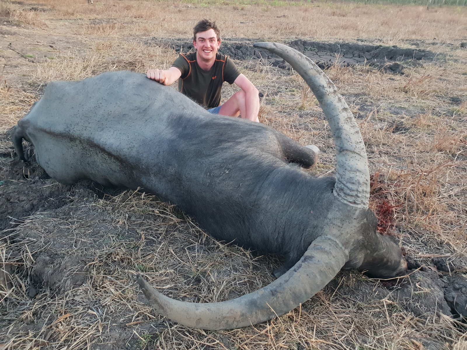Buffalo