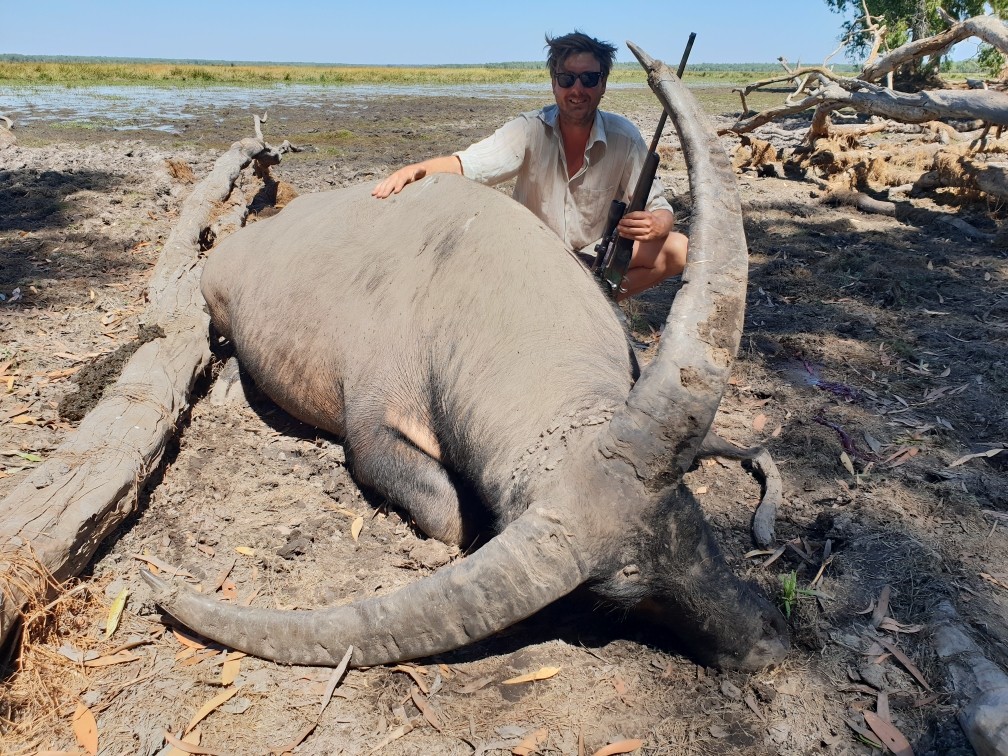 Buffalo