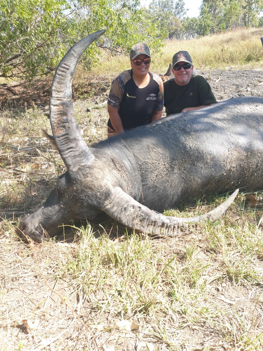Buffalo