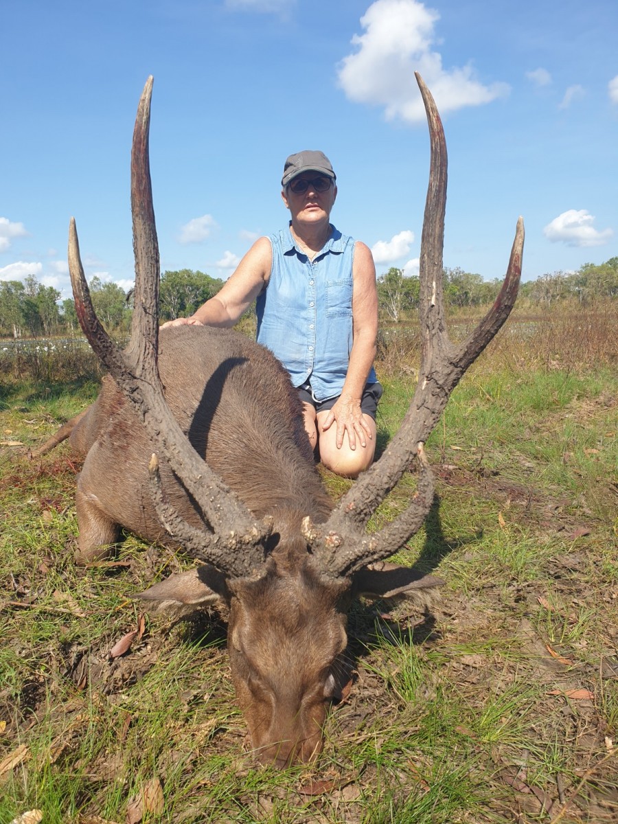 Buffalo