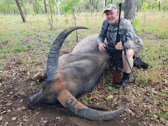 Buffalo