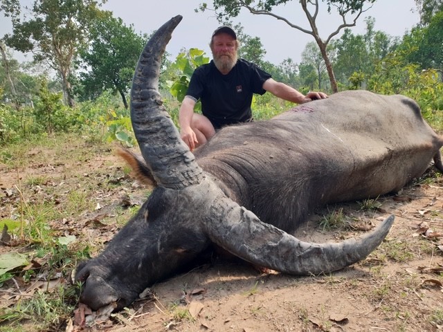 Buffalo