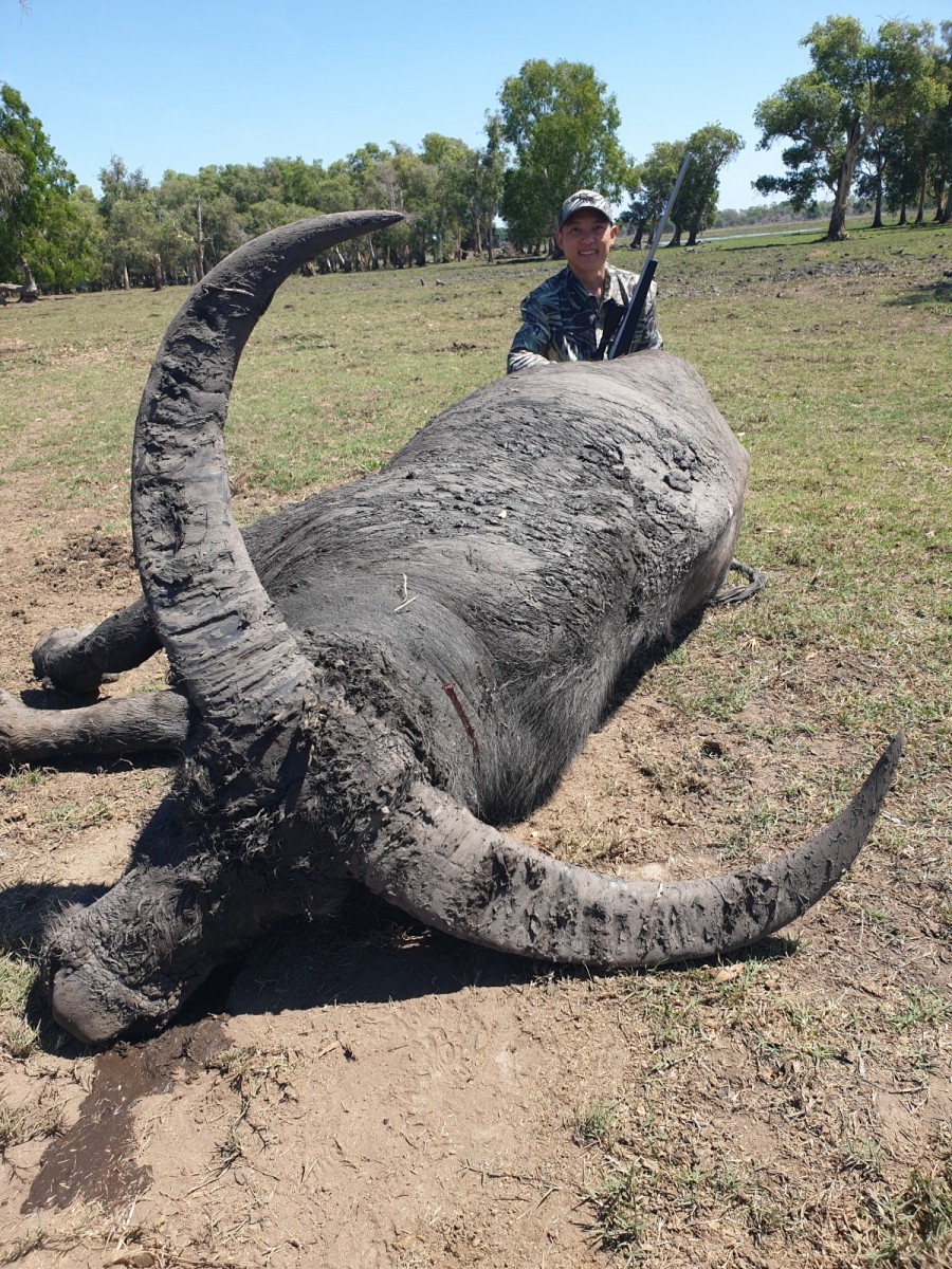 Buffalo