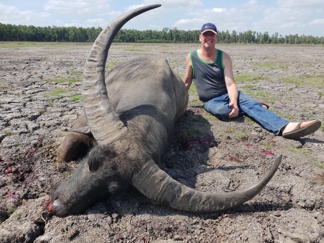 Buffalo