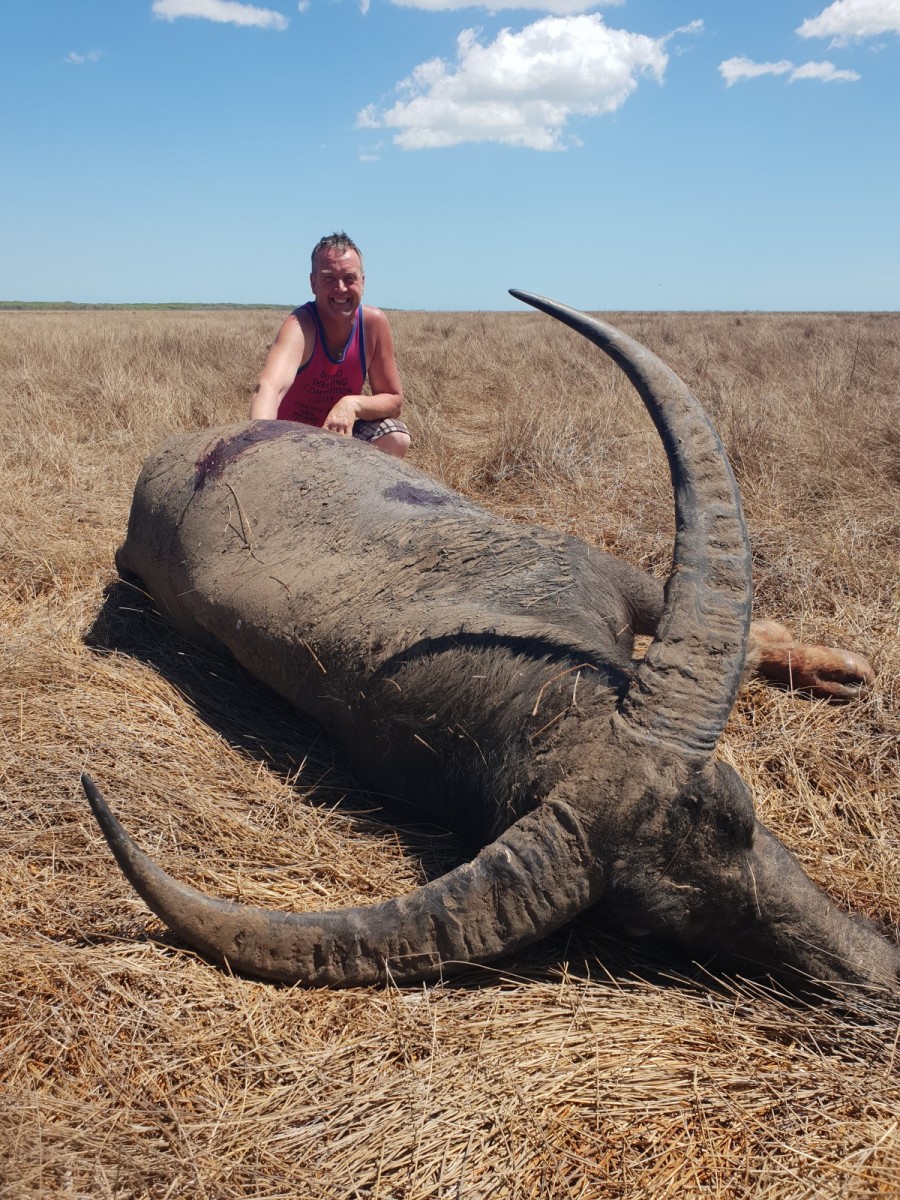 Buffalo